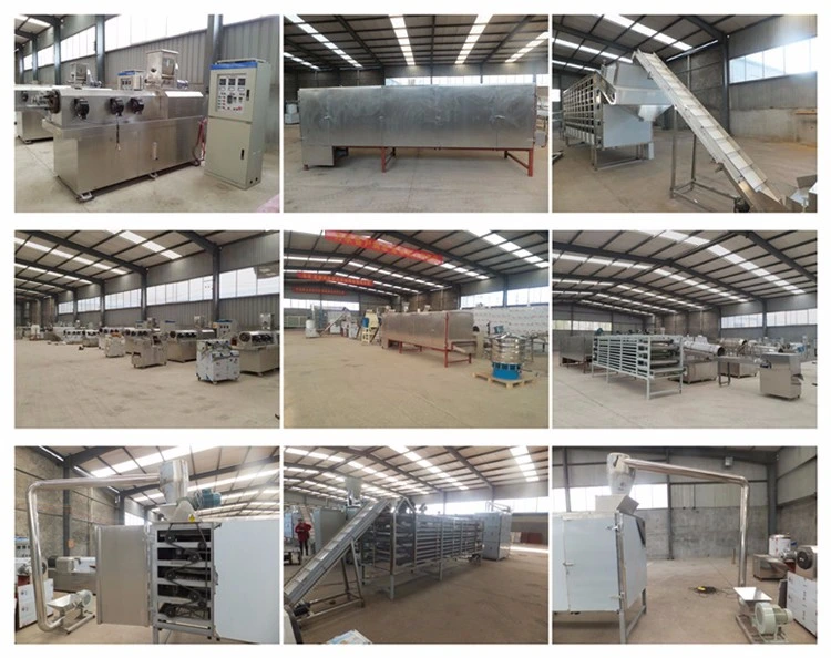 High Capacity Dry Cat Food Pet Animal Food Machinery Sinking Floating Fish Feed Pellet Processing Line Dog Food Making Extruder Machine