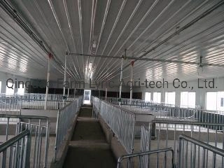 Chinese Big Herdsman Pan Chain/Feeding Equipment for Pig Farm