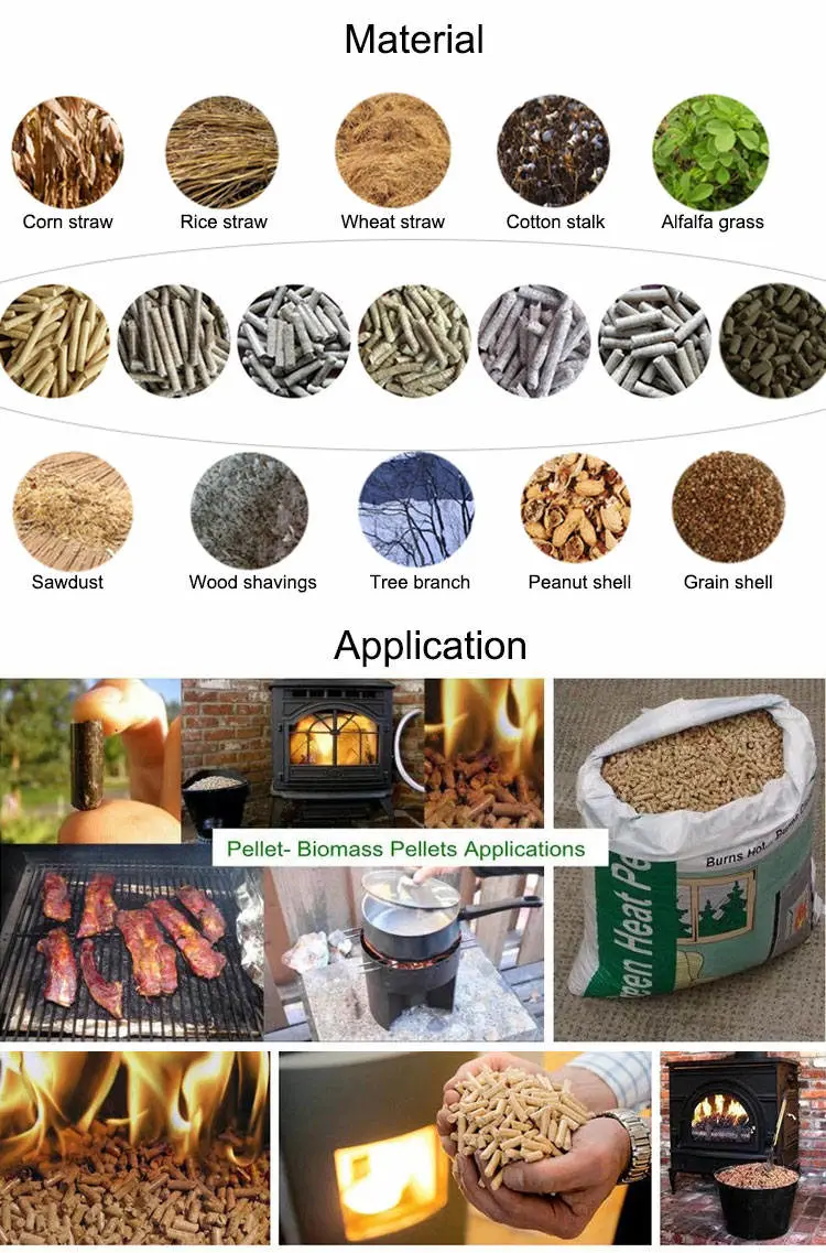 Commercial Industrial Product Woodworking Machine Complete Bioenergy Pine Hard Granulator Mill Ring Die Pellet Machine