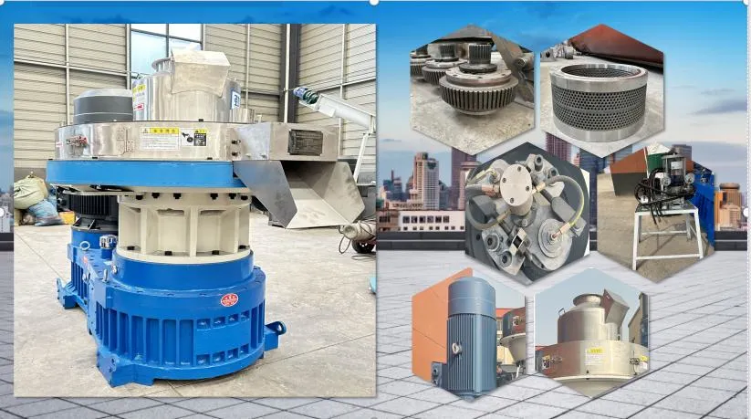 Vertical Ring Die Granulator for Straw and Peanut Shell Biomass Pellets