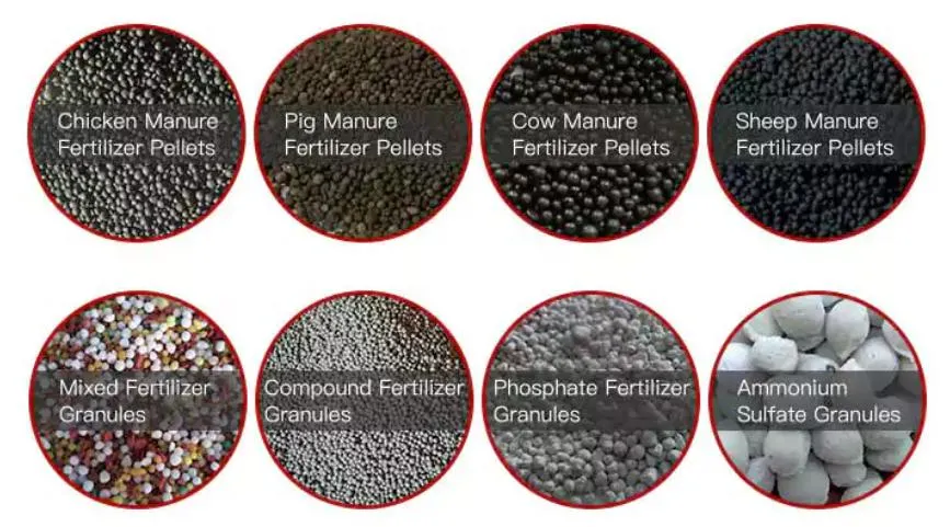 NPK Fertilizer Plant Price Granules Roller Press/Fertilizer Machine/Custom/One Stop Solution/Pellet Press Machine/Animal Feed/Urea Fertilizer Plant Fish/Mill