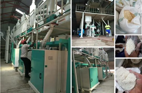 Low Cost Mini Plant 10 Tpd Roller Corn Maize Wheat Flour Milling Mill Machine Price for Making Grinding Wheat Corn Flour