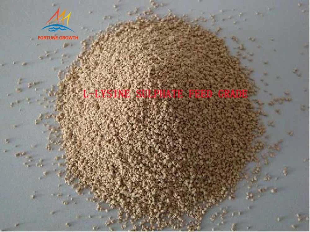 Factory Direct Sales Feed Grade L-Lysine Sulphate Used in Animal Feed