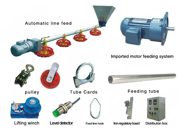 Purchase Chinese Manufacturer Livestock Machinery Poultry Farm Feeding Equipment