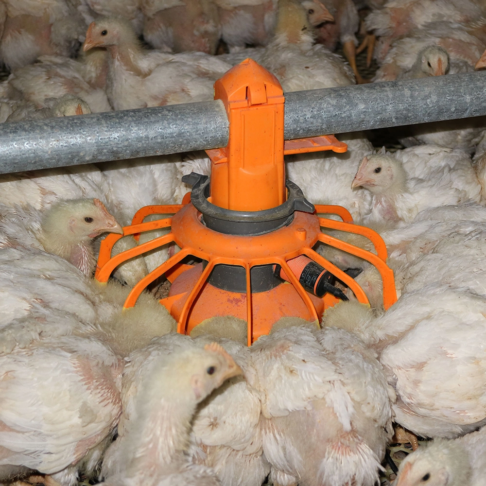 Automatic Livestock Poultry Pulley Egg Laying Layer Broiler Farming System Chicken House Poultry Farm Cage Flooring Breeding Feeding Drinking Raising Equipment