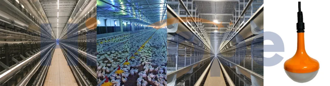 Automatic Livestock Poultry Pulley Egg Laying Layer Broiler Farming System Chicken House Poultry Farm Cage Flooring Breeding Feeding Drinking Raising Equipment