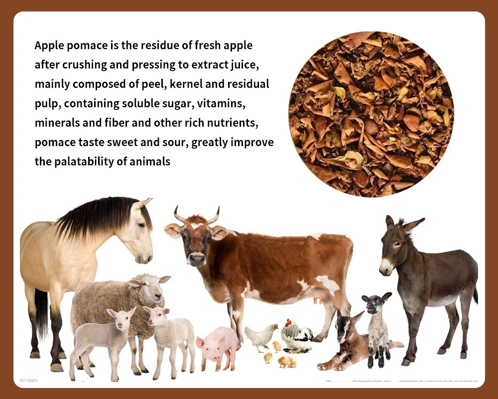 100% Natural Extract Organic Jinan Fengli Feed with Good Taste for Animal Feed Feed Ingredients Feed Material Factory Directly Sale Apple Pomace