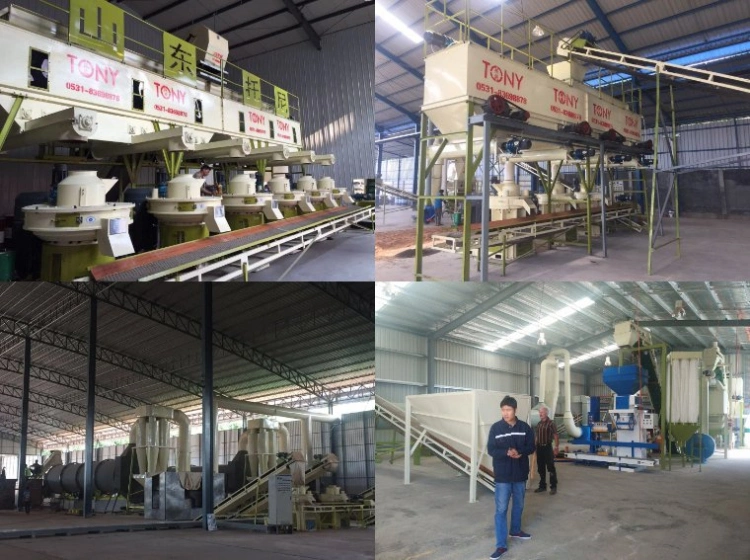 Factory Supply Wood Pellet Mill Fuel Production Line All Complete Wood Pelletizer Production Line