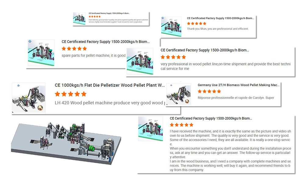 1t/H Sawdust Pellet Making Line Biomass Wood Wastes Pelleting Plant Offered