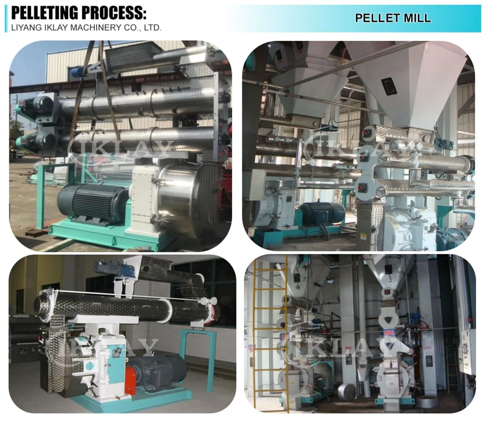 10-12 Mt/H Cattle Feed Production Line CE Chicken Feed Pellet Mill Line Animal Feed Plant