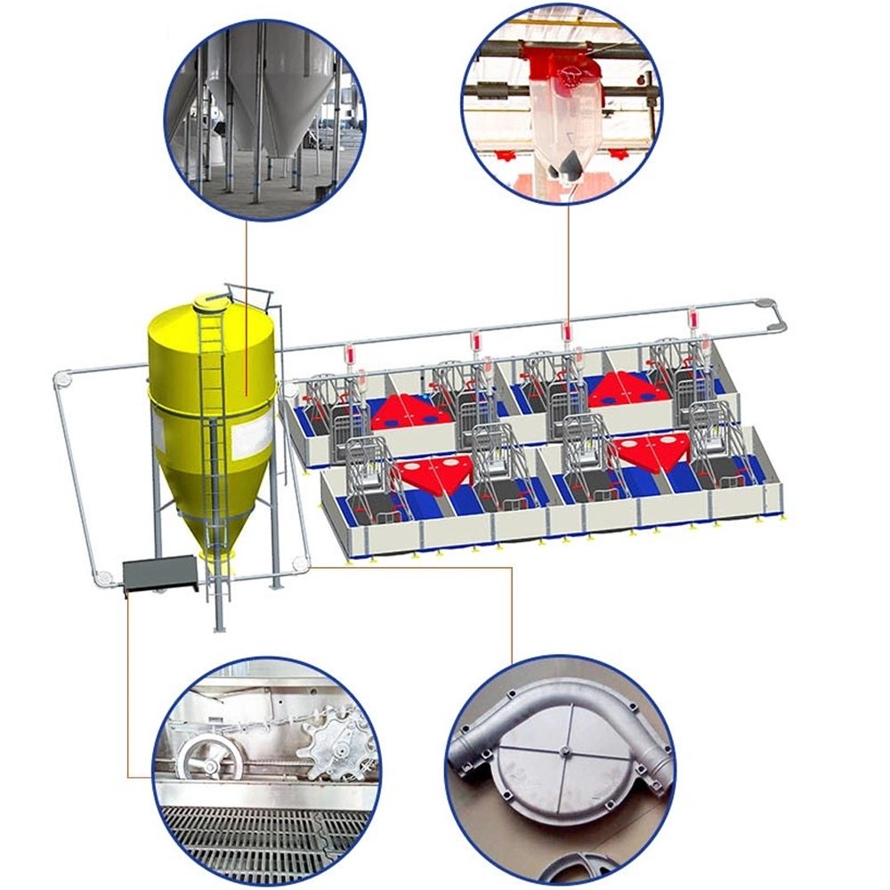 2023 Hot Selling Chinese-Made Automatic Feeding Equipment in Poultry Farms for Pig Farms, Granaries, Chicken Feed and Poultry Farms