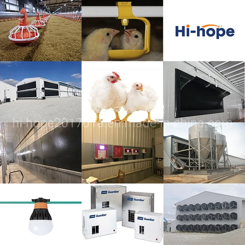 Automatic Poultry Farm Equipment Nipple Drinking System for Chicken