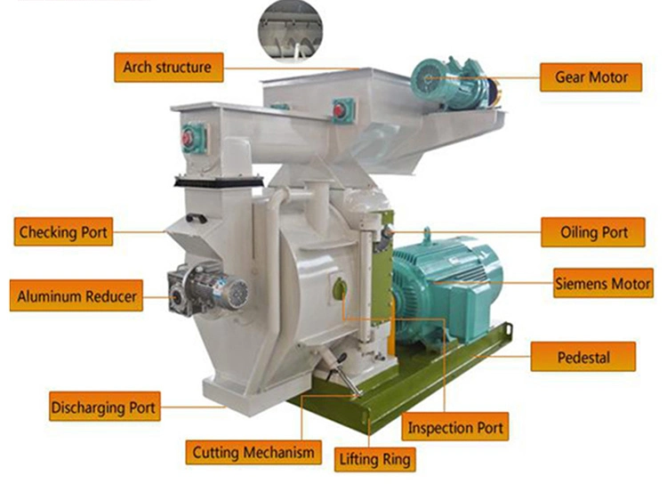 Low Cost Rice Husk Pelletizer Wood Sawdust Pellet Machine, Biomass Pellet Making Plant for Sale