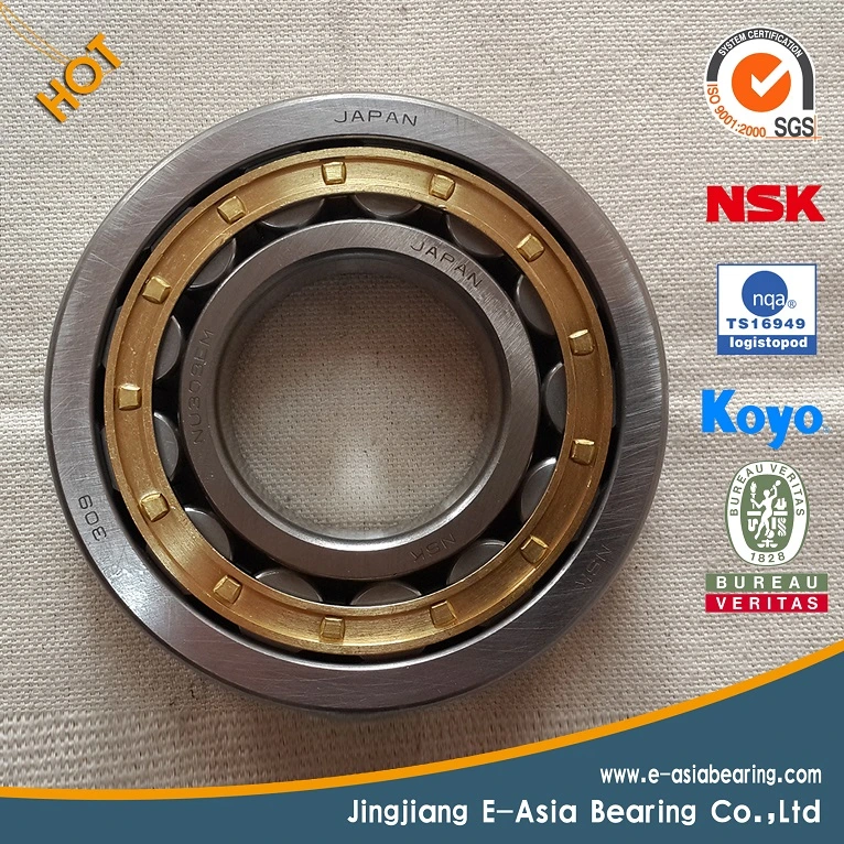 Conveyor Roller Bearing Housing