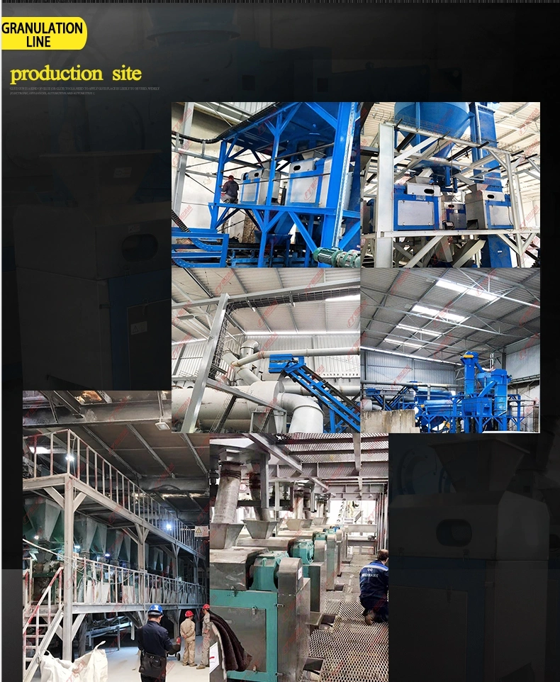 Classy Performing Fertilizer double roller granulator machine With Low Energy Consumption