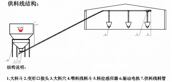 Chinese Manufacturer Poultry Farming Automatic Broiler Feeding Equipment