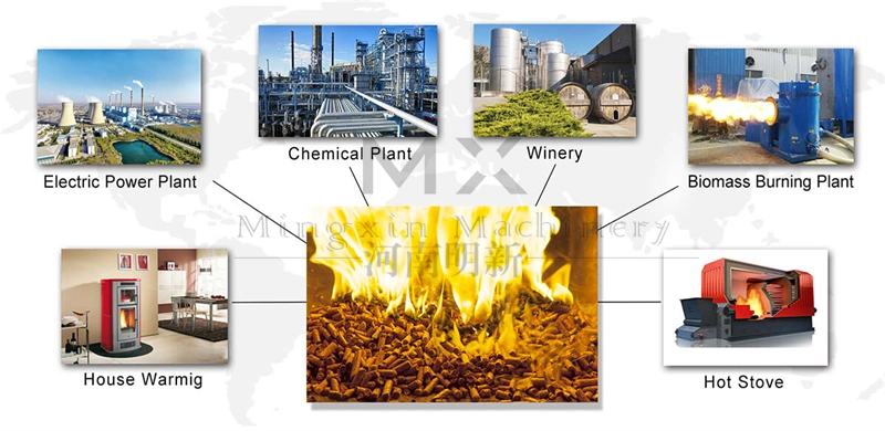 Biomass Fuel Pellet Machine Ring Die Sawdust Vietnam Biomass Wood Pellet for Sale
