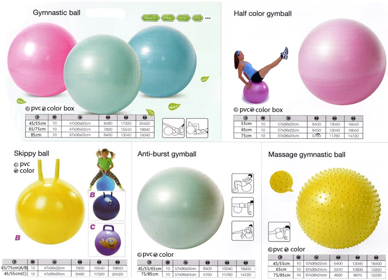 Exercise Anti Burst 45/55/65/75cm PVC Yoga Ball