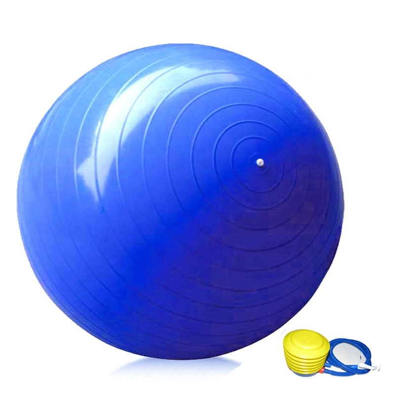 Contact Supplier Anti Burst Exercise 55cm Yoga Balance Ball