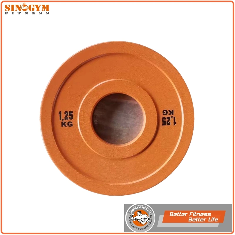 Color Coded Powder Coated Solid Steel Barbell Weight Plate