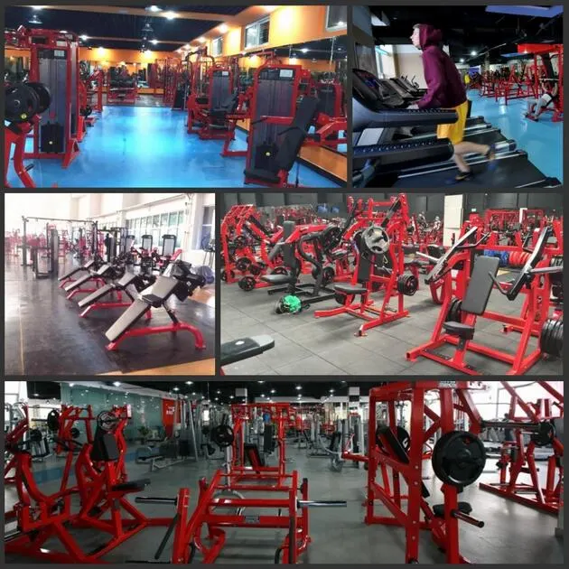 Gym Equipment Commercial Fitness for Sale with Low Row Pull Down in Gymnasium