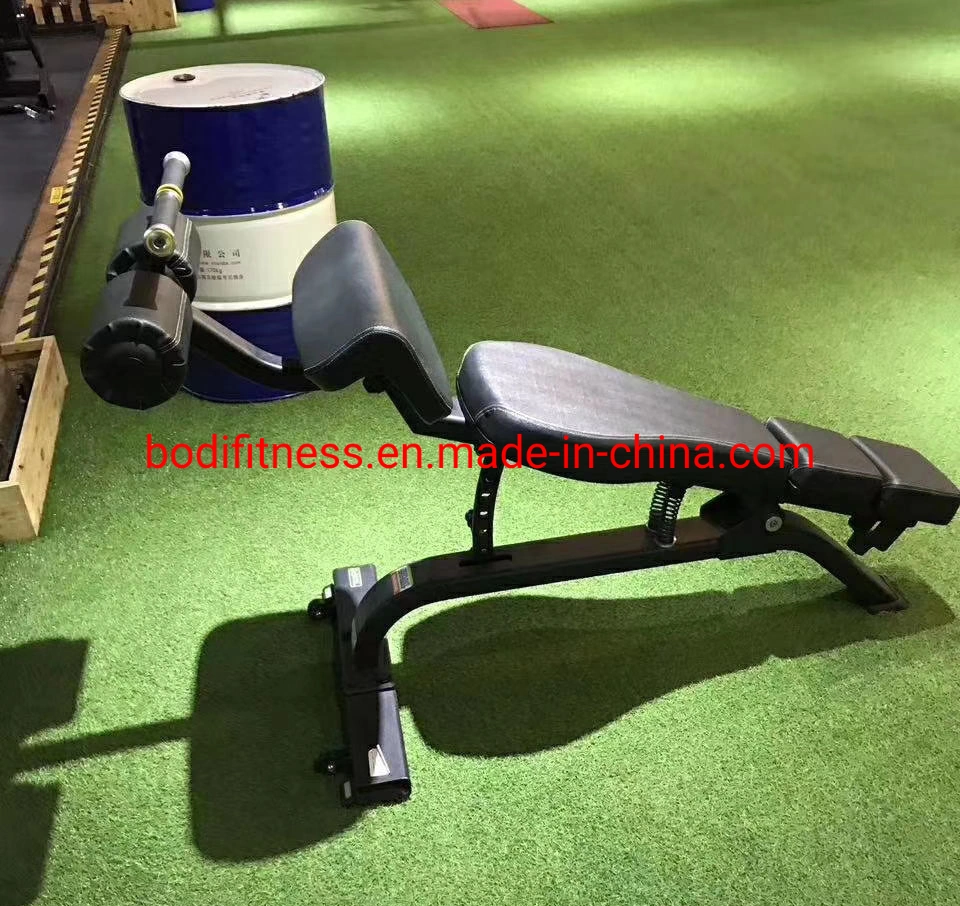 New Free Weight Bench Vertical Knees up/DIP Oval Tube DIP Station