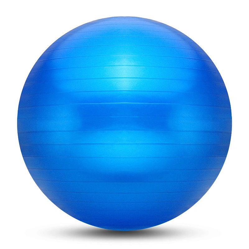Balance Exercise Ball with Hand Pump PVC Gym 65cm Yoga Ball Fitness