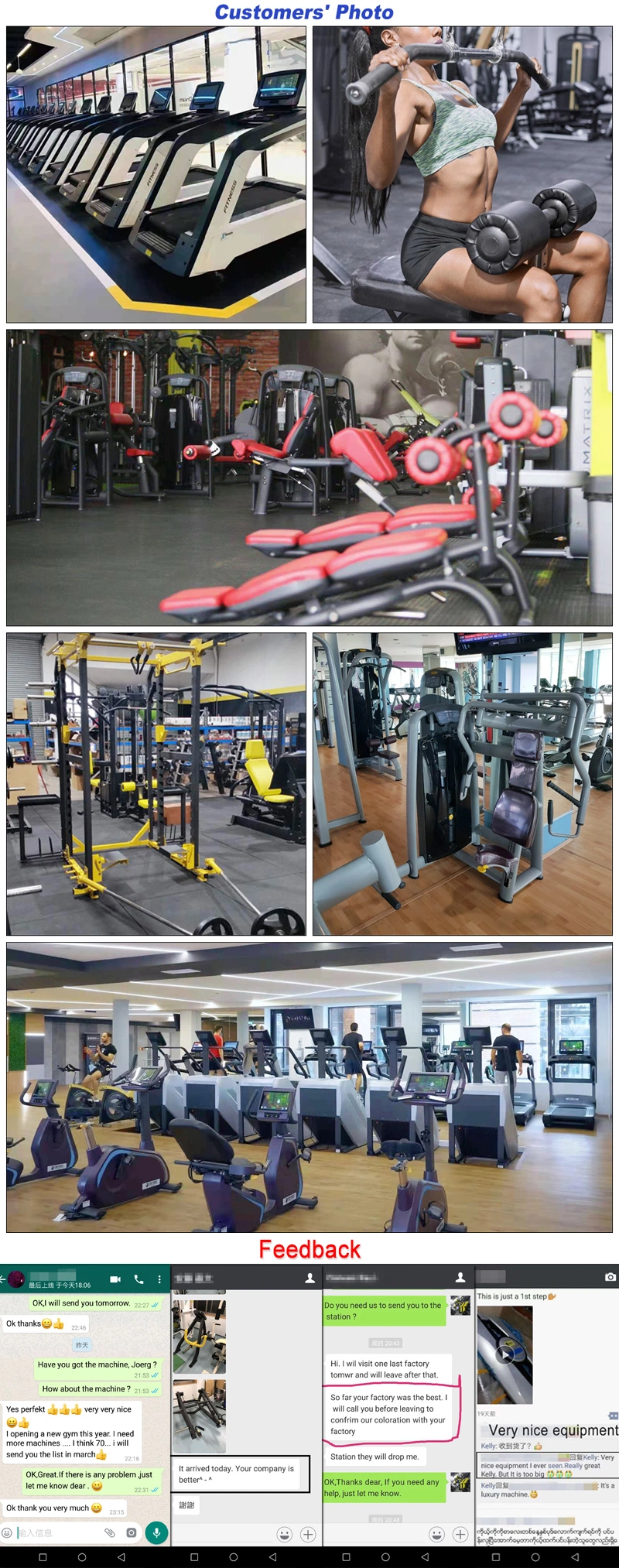 China Professional Complete Indoor Gym Club Fitness Gc-5093 Belt Squat Commercial Gym Equipment