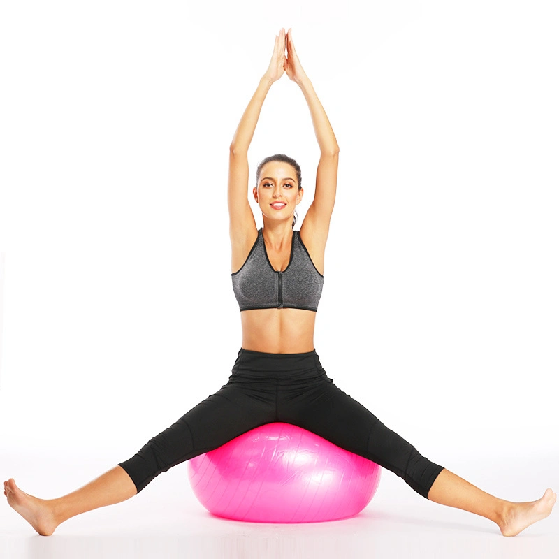 Balance Exercise Ball with Hand Pump PVC Gym 65cm Yoga Ball Fitness