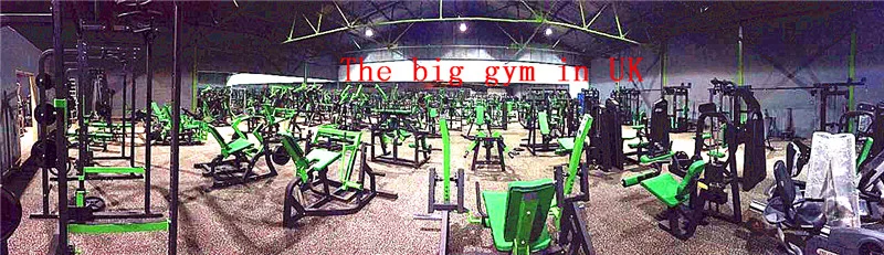 Gym Equipment Commercial Fitness for Sale with Low Row Pull Down in Gymnasium