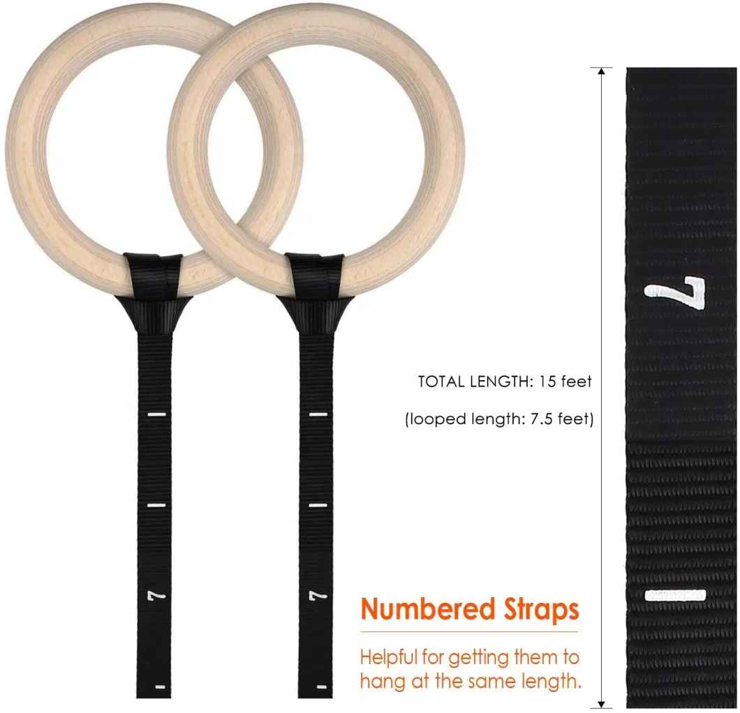 Factory Direct Sale Wooden Gym Rings Gym Exercise Gymnastic Rings with Training