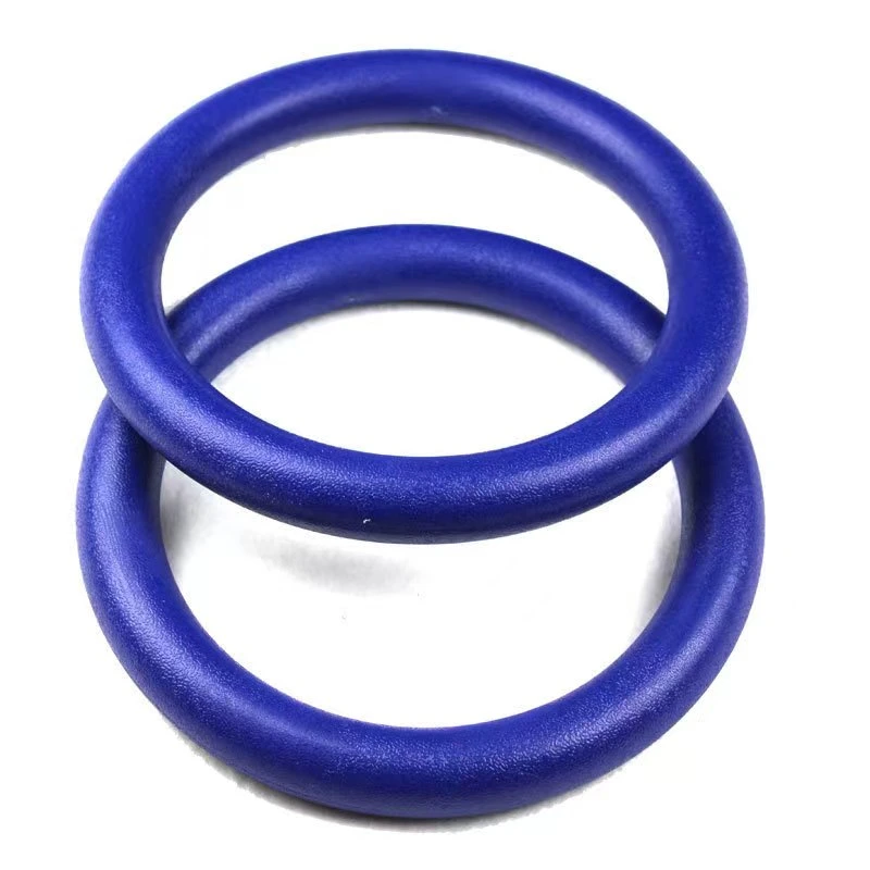 ABS Gymnastics Ring High Quality Training Gymnastics Fitness Exercise Ring