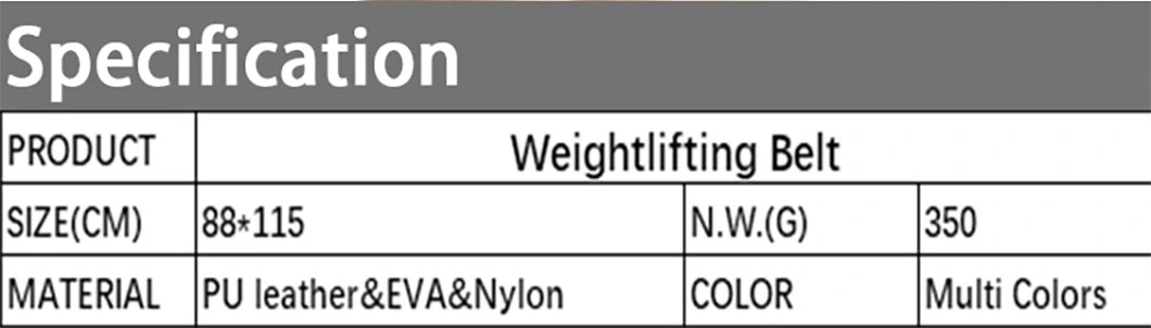 Gym Powerlifting Deadlifting Weight Lifting Belt for Men &amp; Women Squats Workout Training