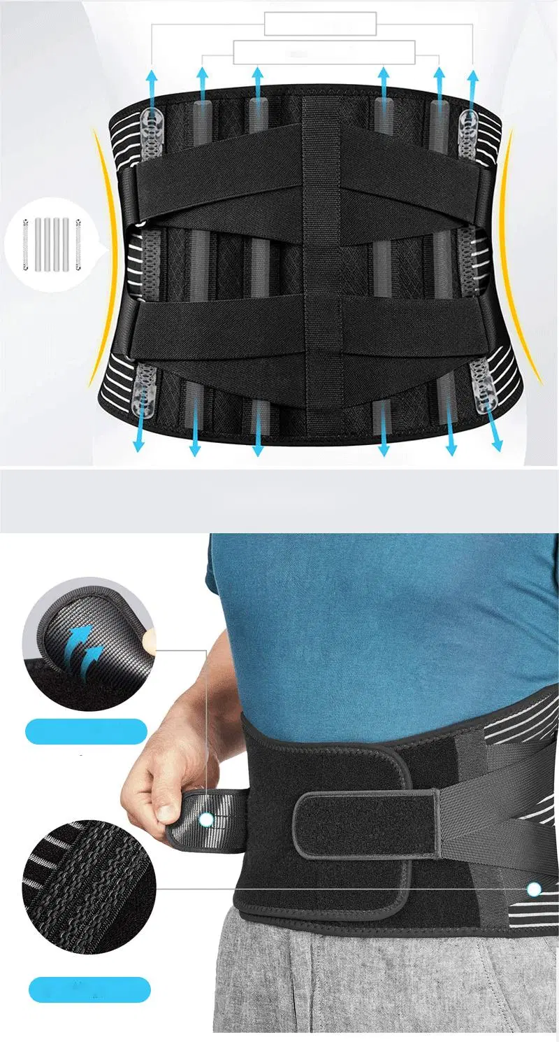 OEM ODM Holesale Waist Trimmer Slimming Back Trainer Belt Sweat Belt Support Lumbar for Men Women