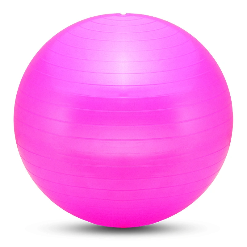Balance Exercise Ball with Hand Pump PVC Gym 65cm Yoga Ball Fitness