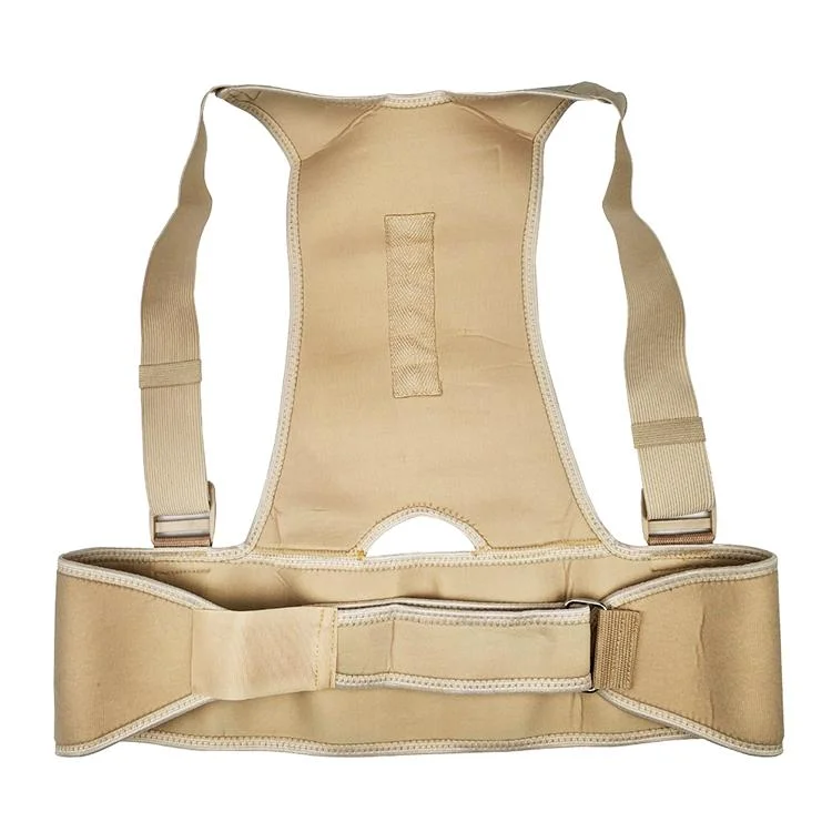 Adjustable Back Posture Corrector Braces Shoulder Waist Lumbar Support Belt