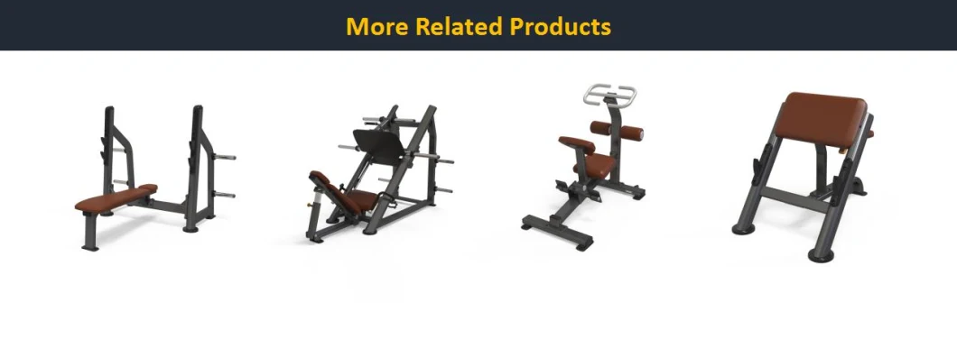 High-Quality Commercial Gym Equipment Pull up DIP Station Workout