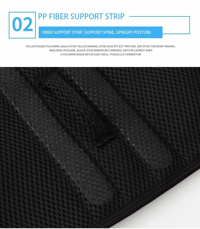 Factory Price Healthy Body Adjustable Waist Brace Posture Corrector Back Support