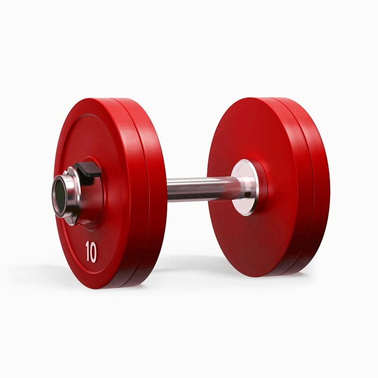 Gym Equipment Weight Lifting Dumbbell Handle Short Barbell Bar