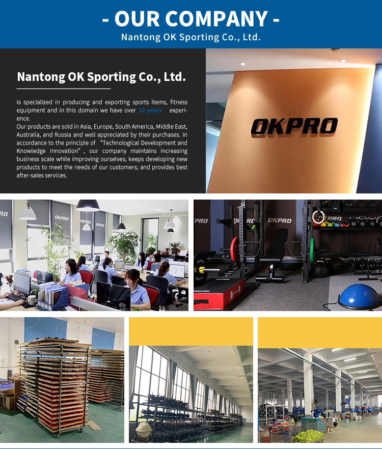 Okpro Gym Fitness Equipment Wholesale Weightlifting Commercial Barbell Cast Iron Weight Plates for Strength Training