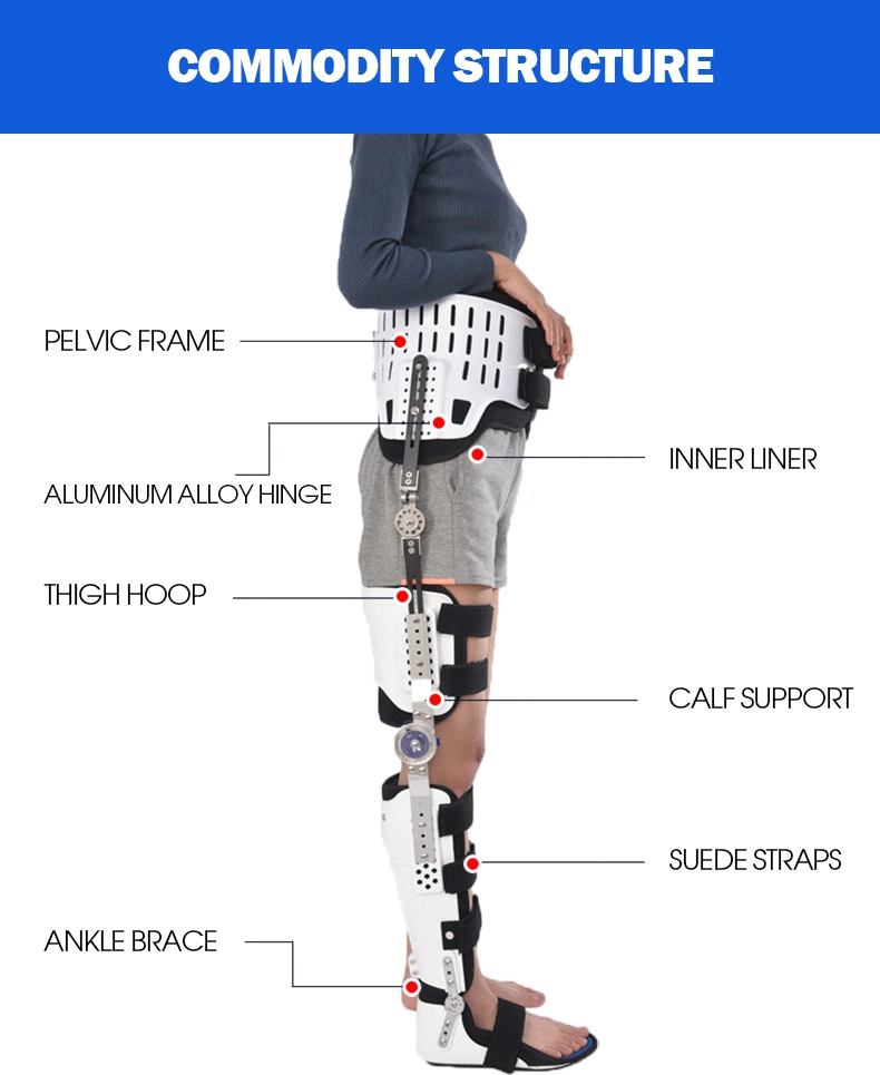 Adult Adjustable Hip Bone Waist Knee Ankle Foot Joint Fixed Support High and Low Paraplegic Walking Support