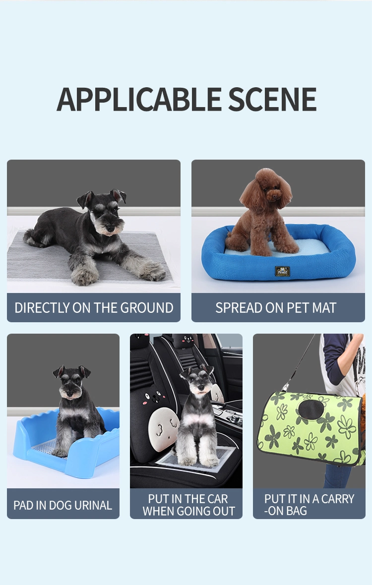 OEM Custom Size Leak-Proof Disposable Dog Pet Diaper Training Mat