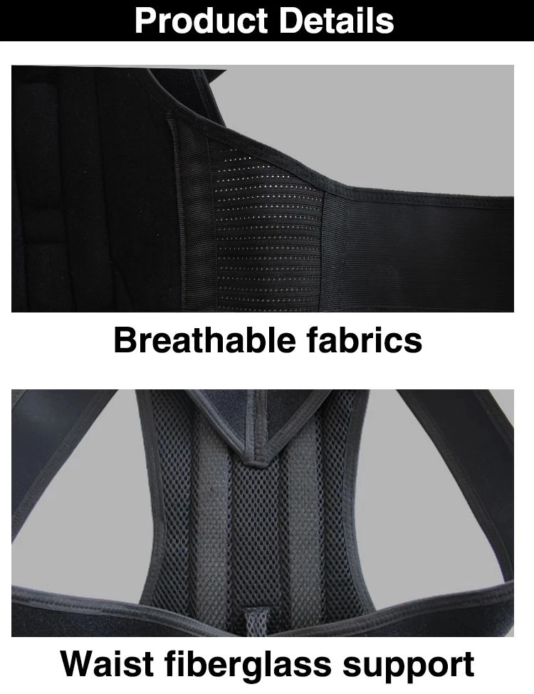 Back Orthosis Sports Back Protector Lumbar Back Support Wholesale