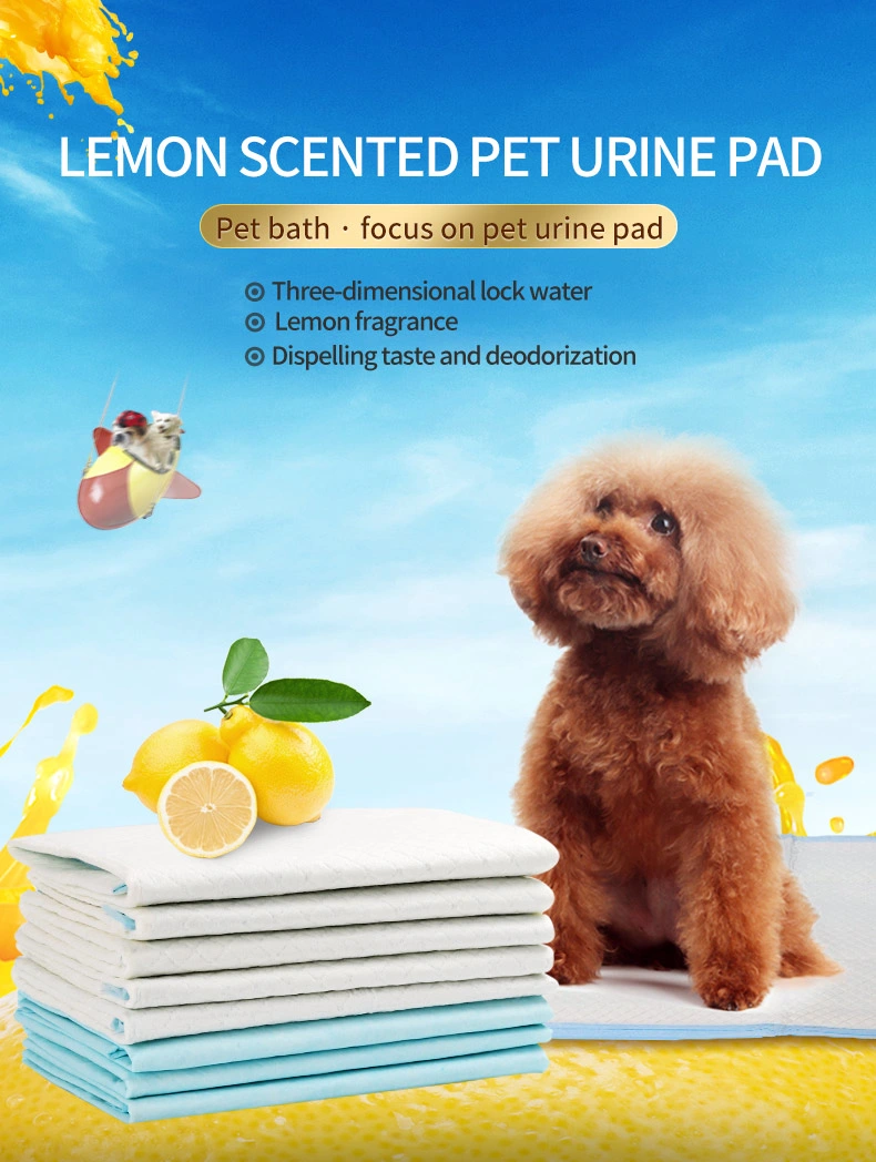 Disposable Pet Puppy Dog Pads 100 Pack Toilet Training PEE Wee Mats 60 X 60 Cm