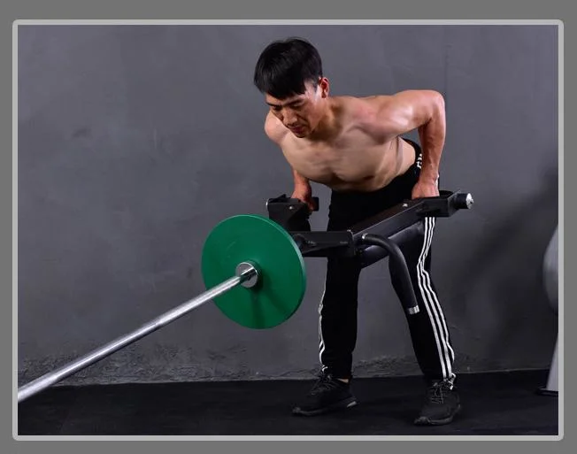 Weight Lifting Power Training Gym Fitness Equipment Manufacture Factory Price Trainer Handle