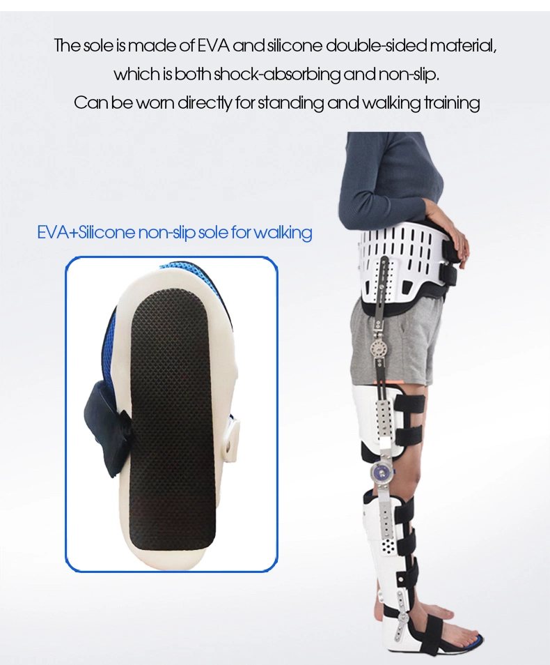 Adult Adjustable Hip Bone Waist Knee Ankle Foot Joint Fixed Support High and Low Paraplegic Walking Support