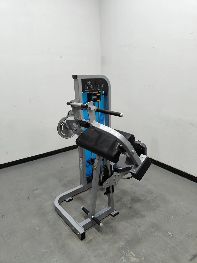 New Arrival 2023 Gym Equipment Triceps Extension Exercise Machine for Body Workout