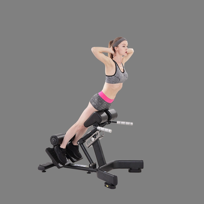 Hot Professional Exercise Equipment Gym Equipment Station Easy Chin up DIP Station Machine