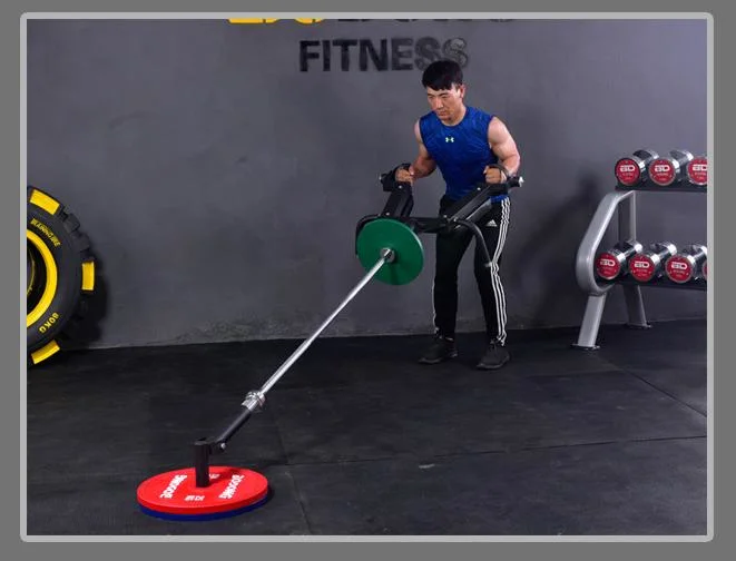 Weight Lifting Power Training Gym Fitness Equipment Manufacture Factory Price Trainer Handle