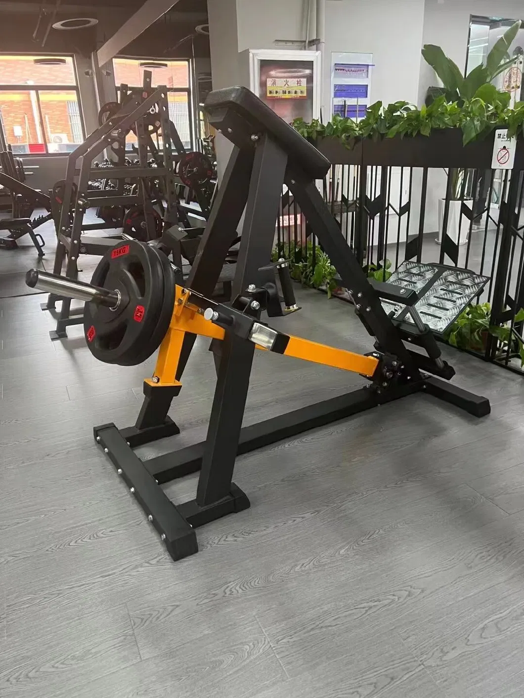 China Professional Complete Indoor Gym Club Fitness Gc-5094 Belt Squat Commercial Gym Equipment